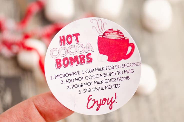 Hot Chocolate Bomb Tag Hot Chocolate Bomb Christmas Gift Tag Holiday Hot Chocolate Instruction Tag You're The Bomb Printable Sticker HCBT