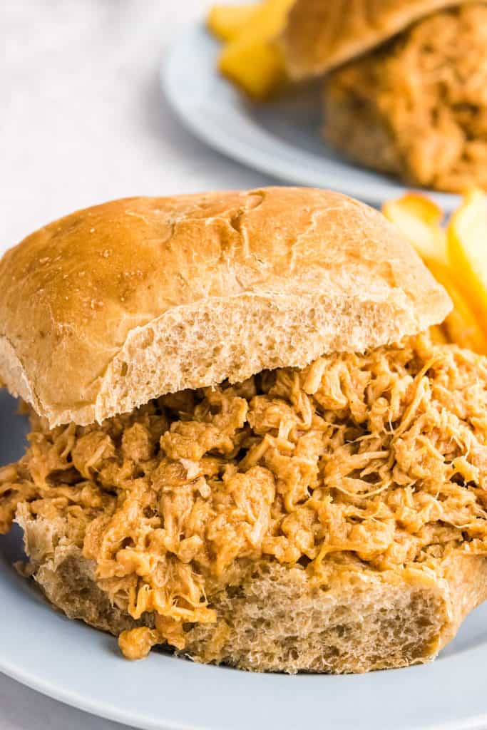 pulled pork on a wheat bun