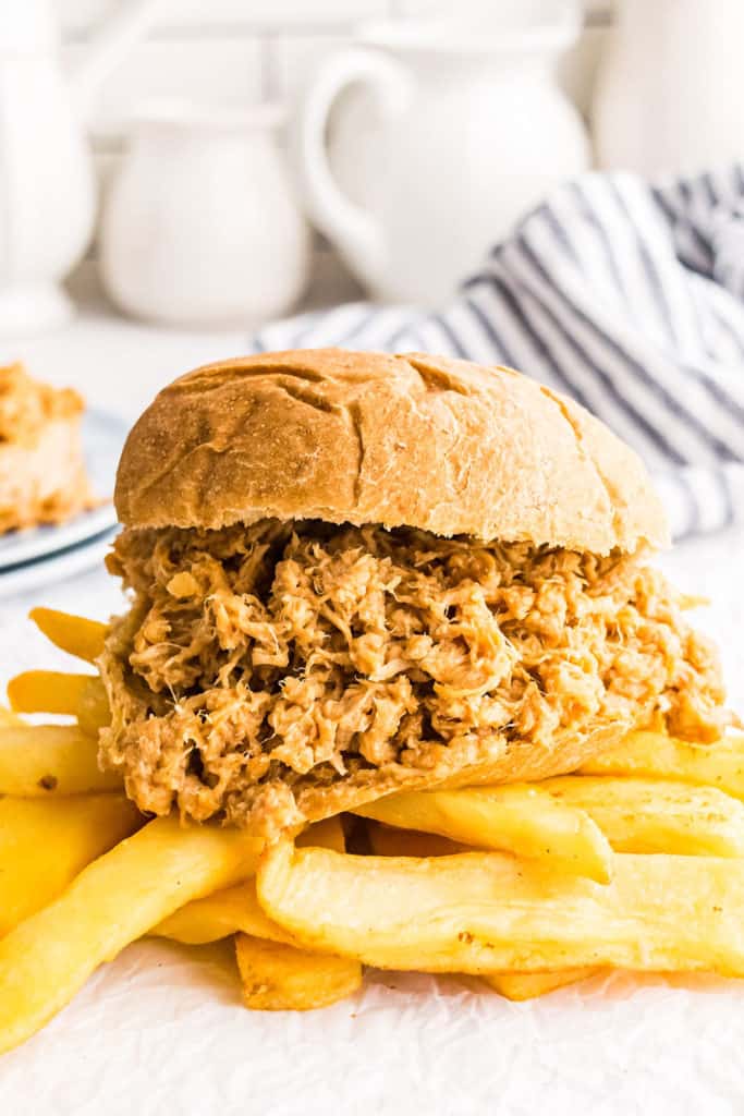 pulled pork sandwich with homemade fries