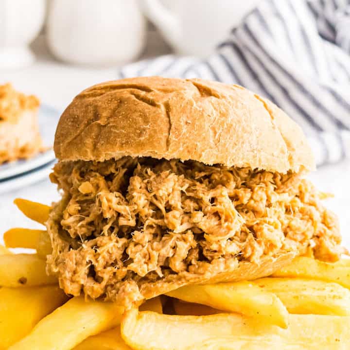 pulled pork sandwich with homemade fries