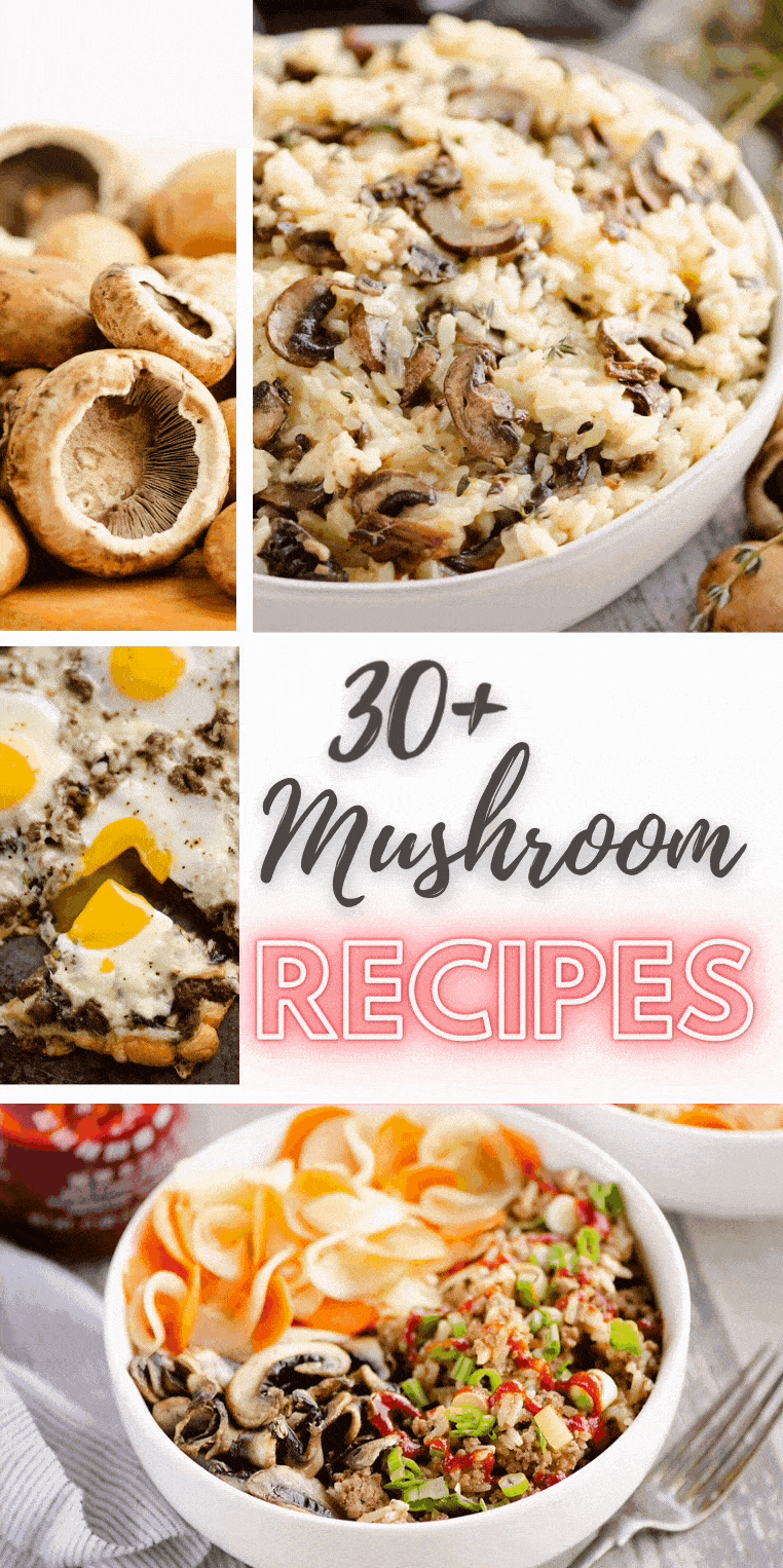 30+ Mushroom Recipes