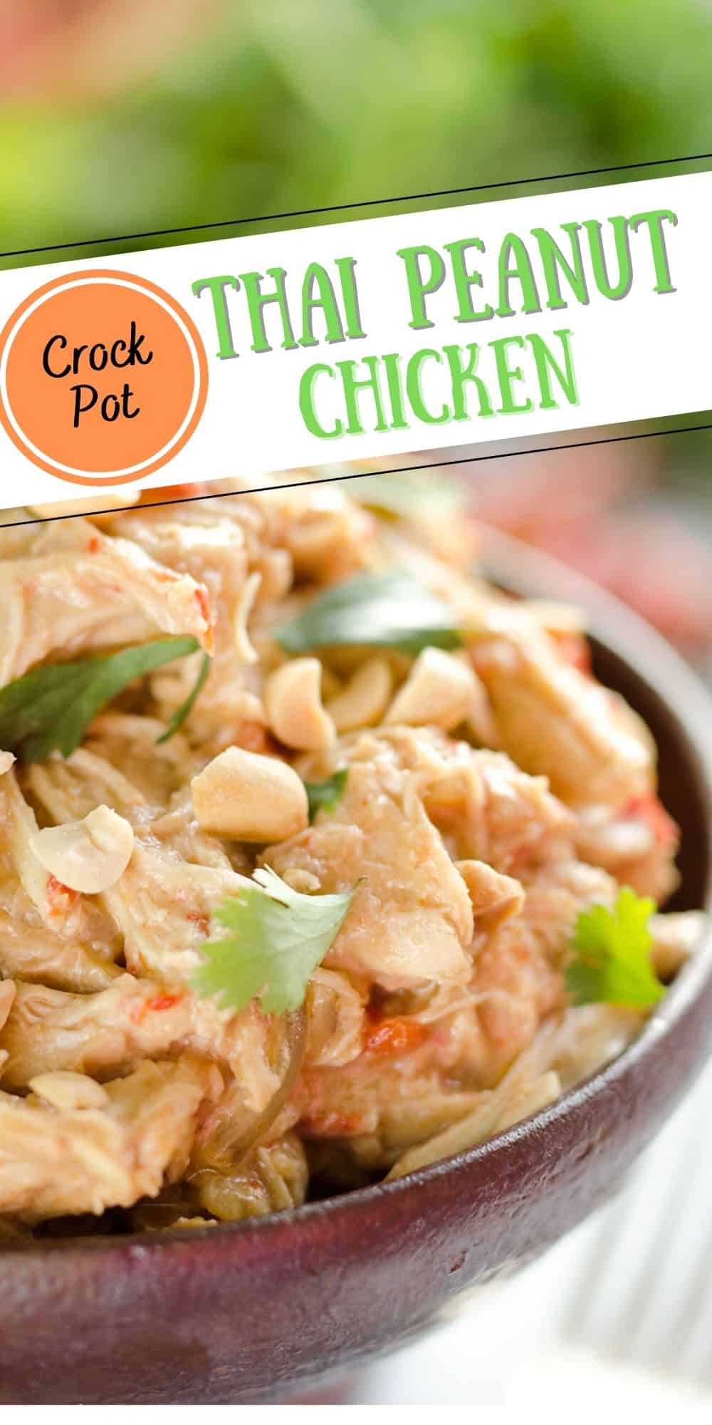 Crock Pot Thai Peanut Chicken - Easy Slow Cooker Recipe