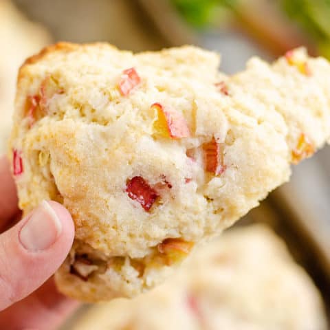 rhubarb scone held in han