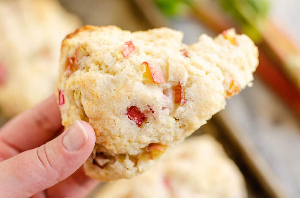 rhubarb scone held in han