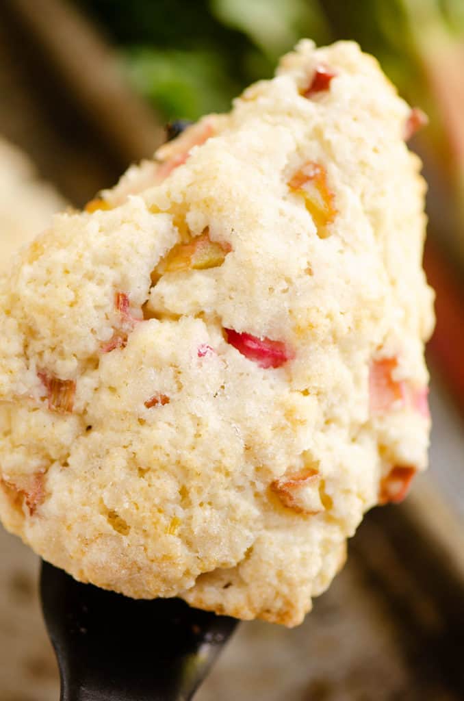 rhubarb scone on spatula over cookie sheet