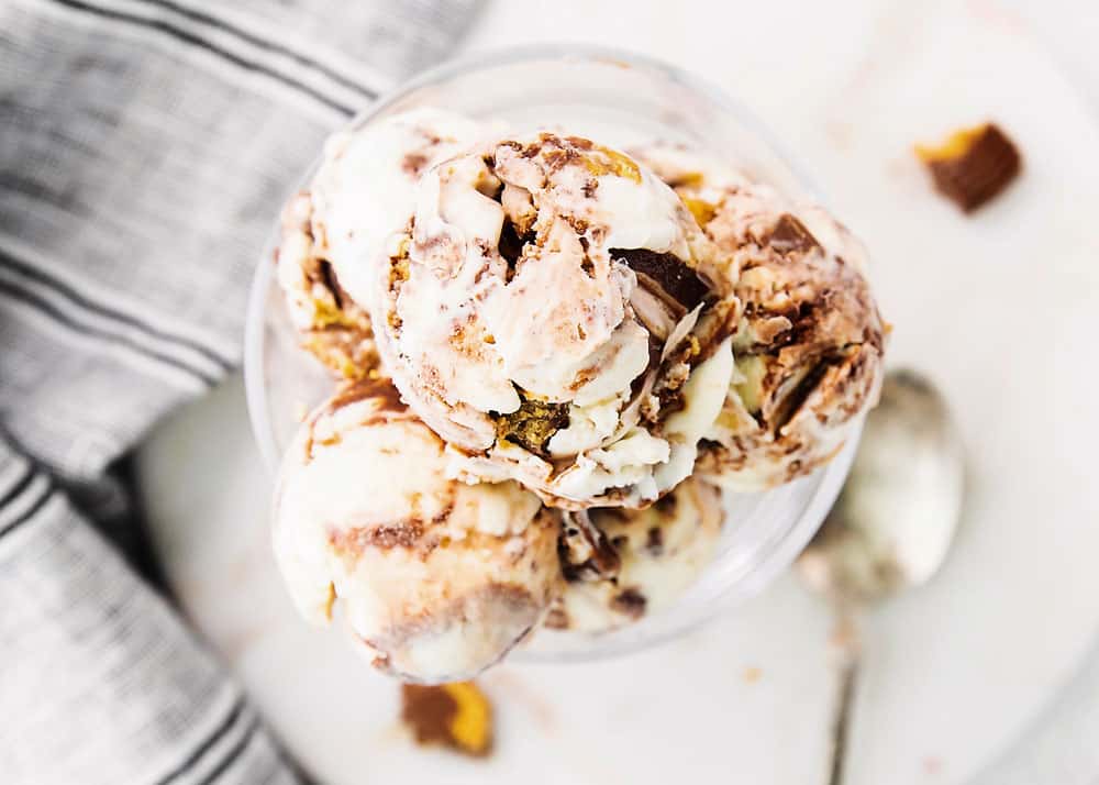 glass bowl with scoops of moose tracks ice cream