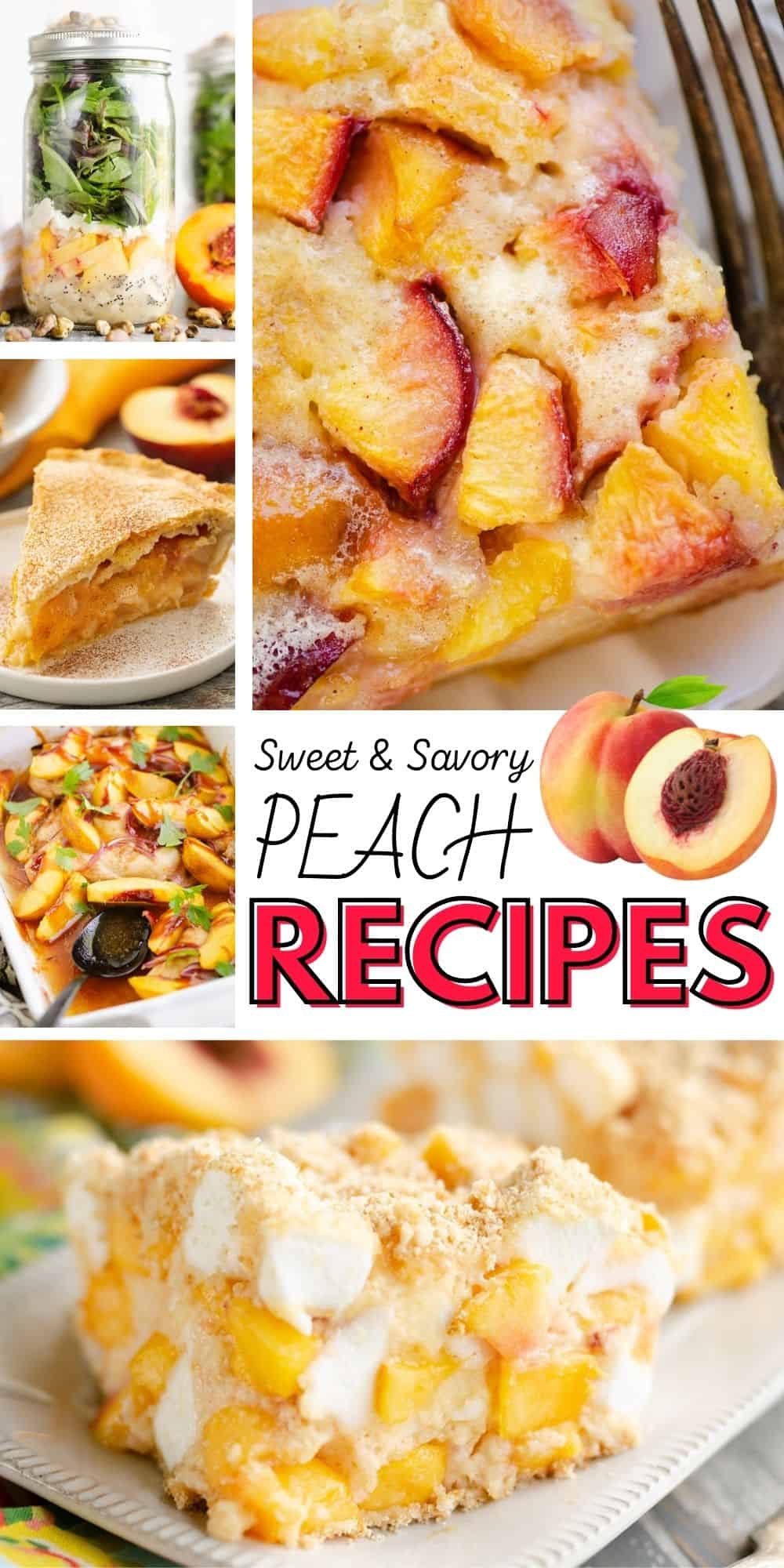 35+ Sweet & Savory Peach Recipes