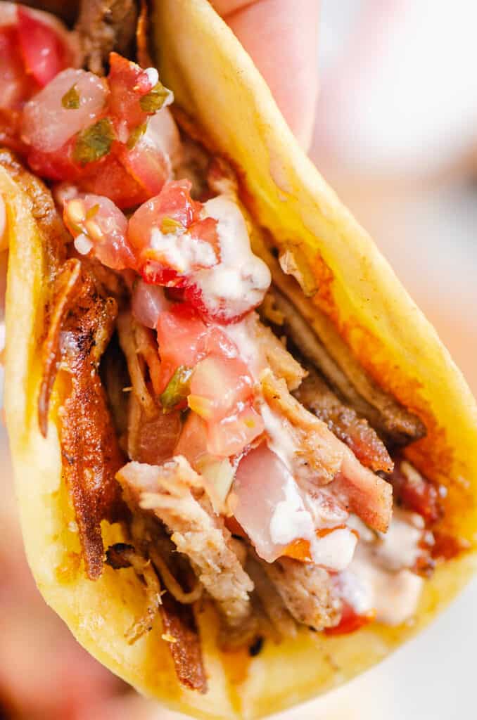 hand holding pork carnitas taco with chipotle lime sour cream