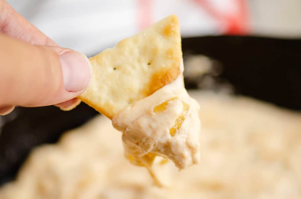 cheesy caramelized onion dip on pita cracker