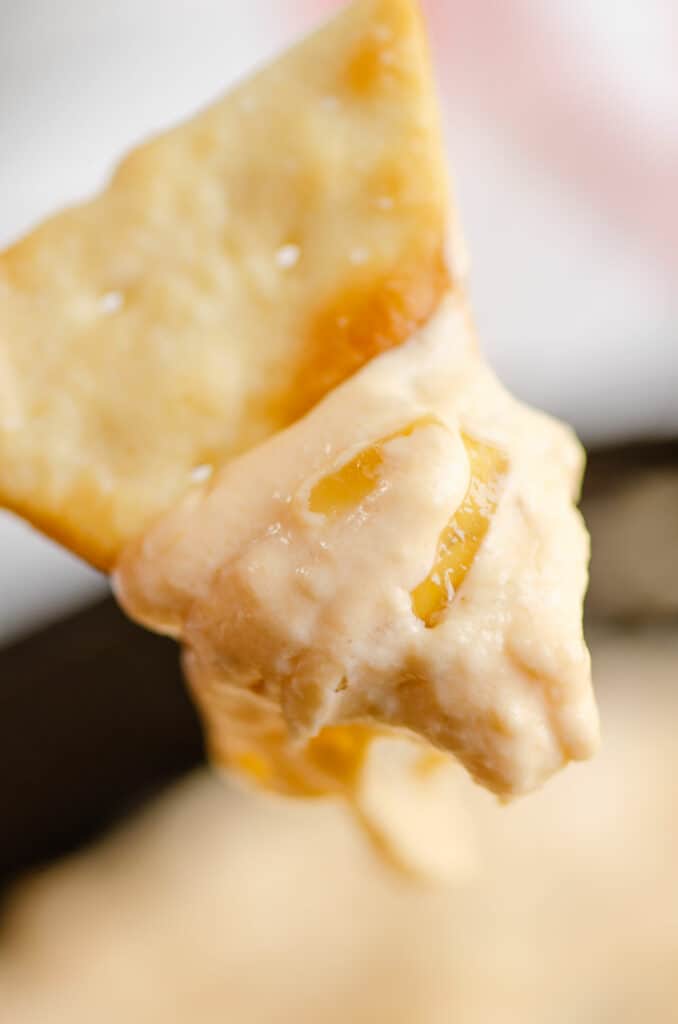 cracker dipped in caramelized onion dip