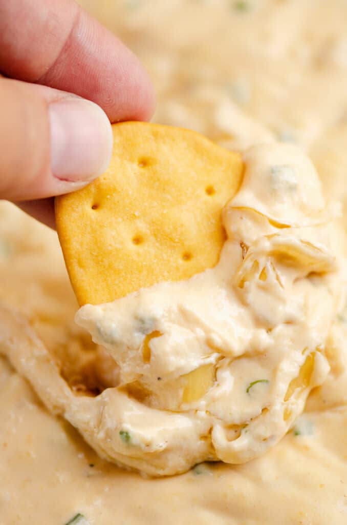 cheesy cracker scooping caramelized onion dip