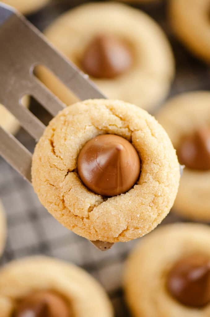 peanut butter blossom cookie on spatula