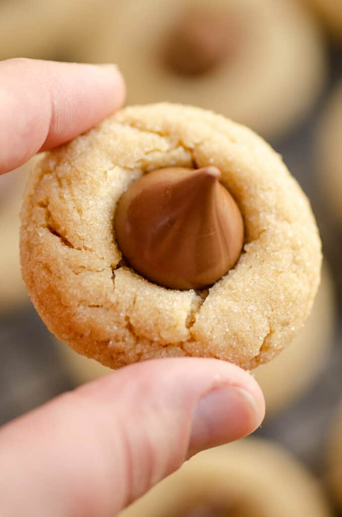 peanut butter blossom cookie in hand