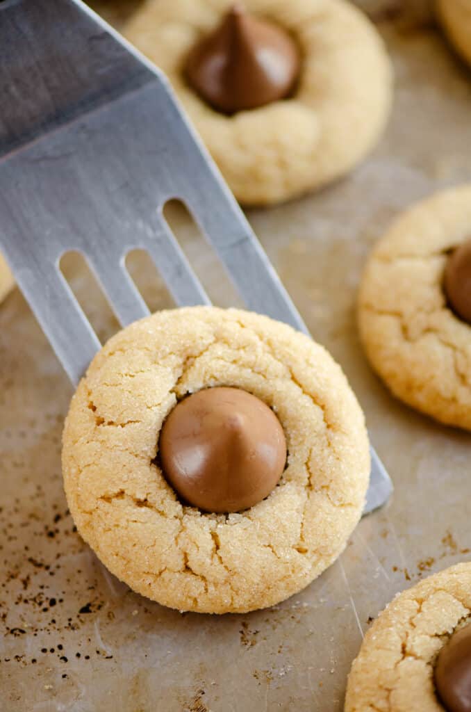 peanut butter blossom cookies on spatula removed from cookie sheet