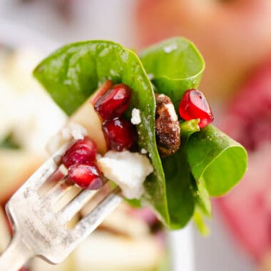 spinach pomegranate and apple salad on fork