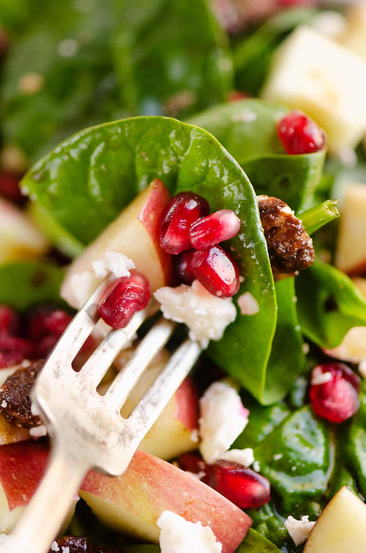 spinach pomegranate, feta and apple salad on fork