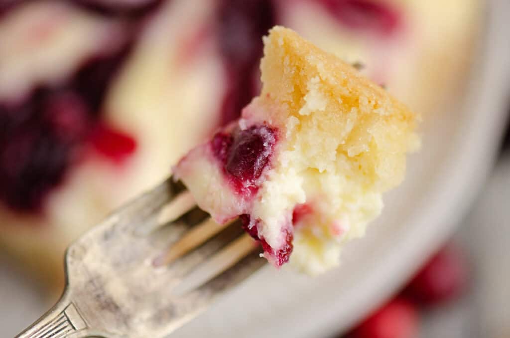 bite of cranberry cheesecake on fork