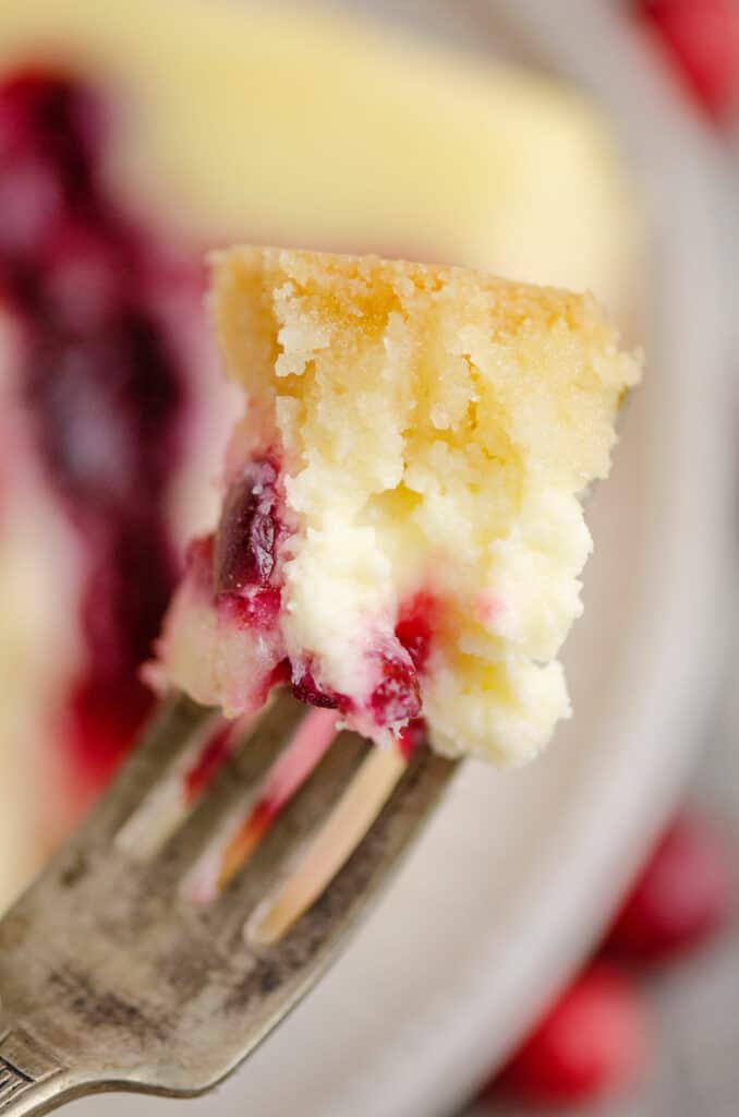 bite of cranberry orange cheesecake on fork