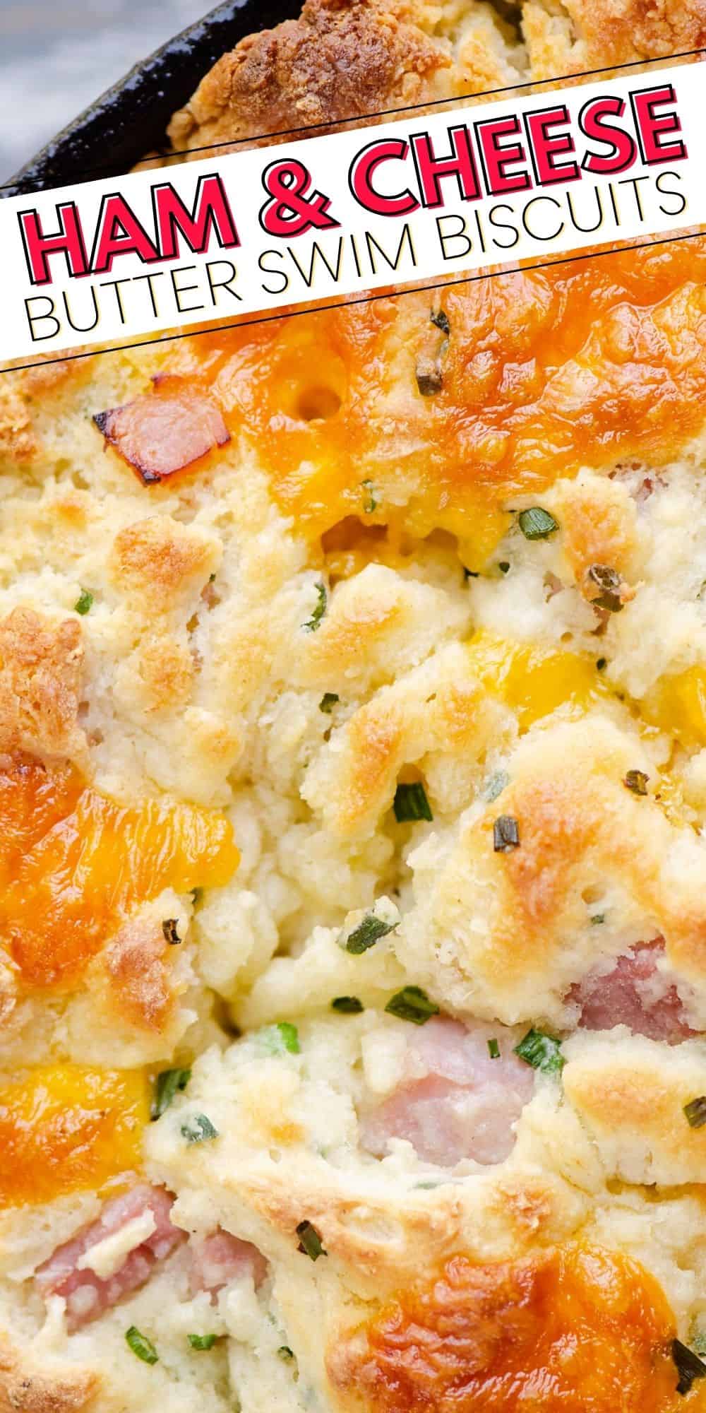 Ham & Cheese Butter Swim Biscuits