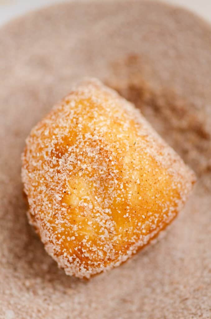 biscuit donut hole in cinnamon sugar