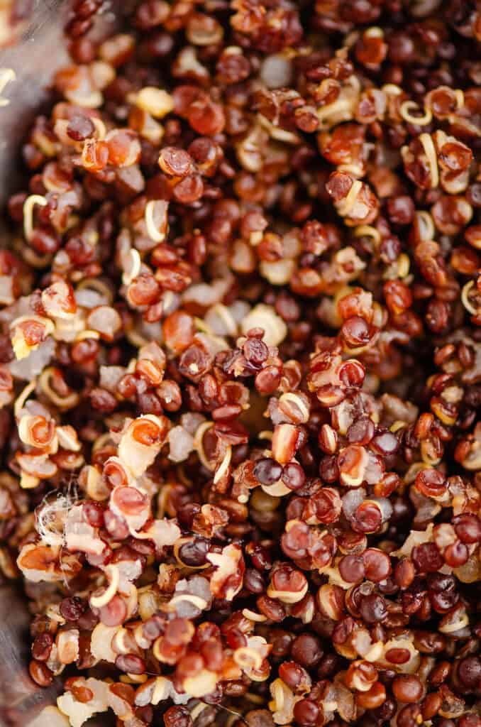 red sprouted quinoa