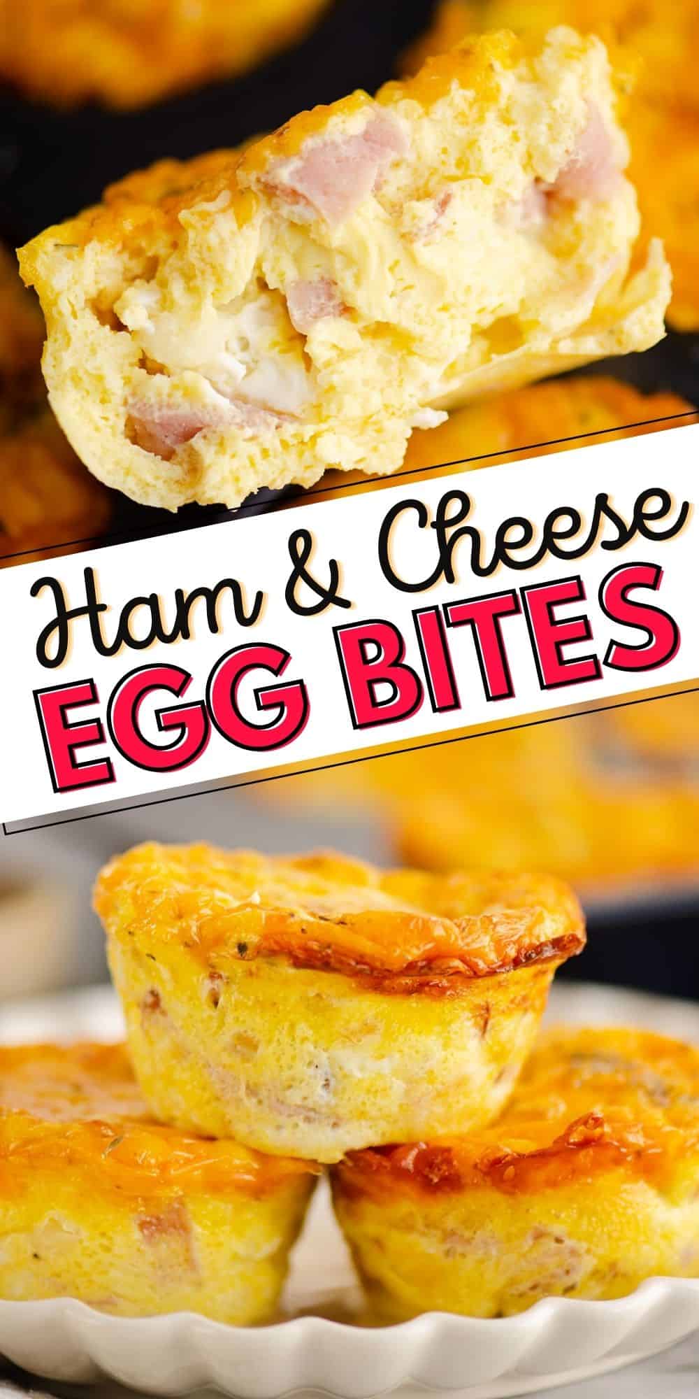 Ham & Cheese Egg Bites