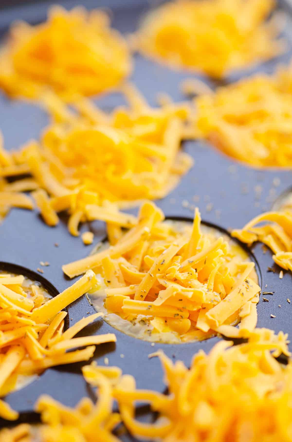 egg bites in muffin tin topped with shredded cheddar