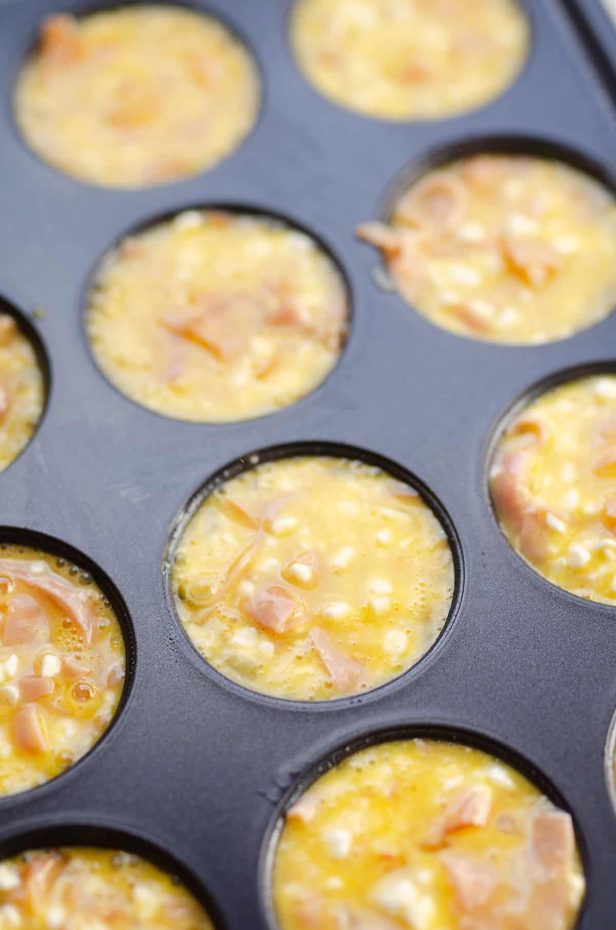 cottage cheese egg bites in muffin tin