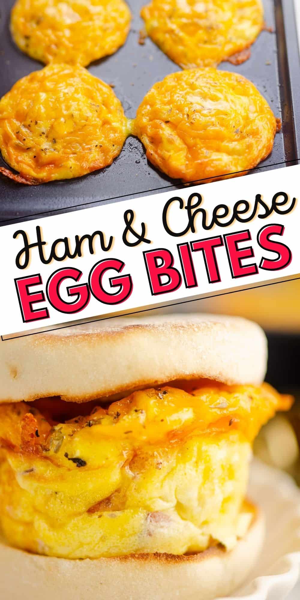 Ham & Cheese Egg Bites