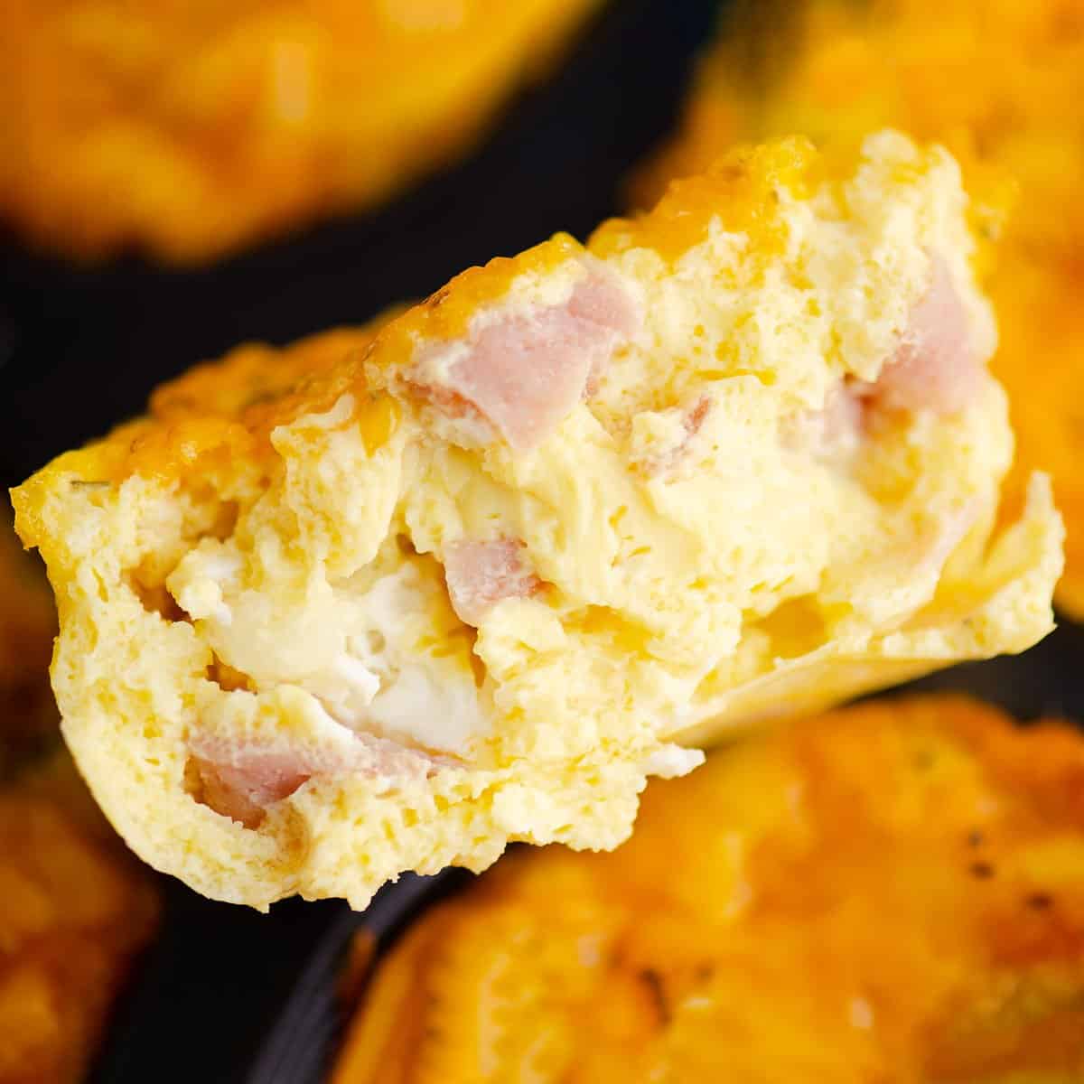 Ham & Cheese Egg Bites