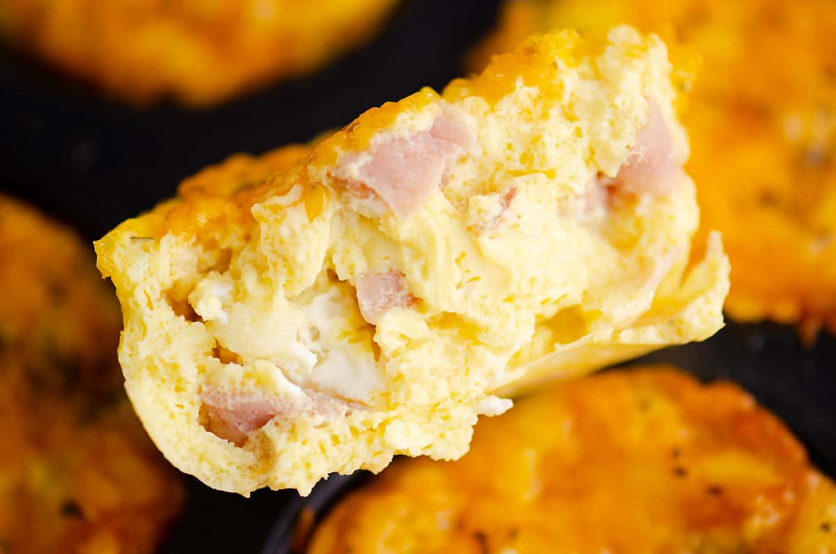 half of ham and cheese egg bit on muffin tin