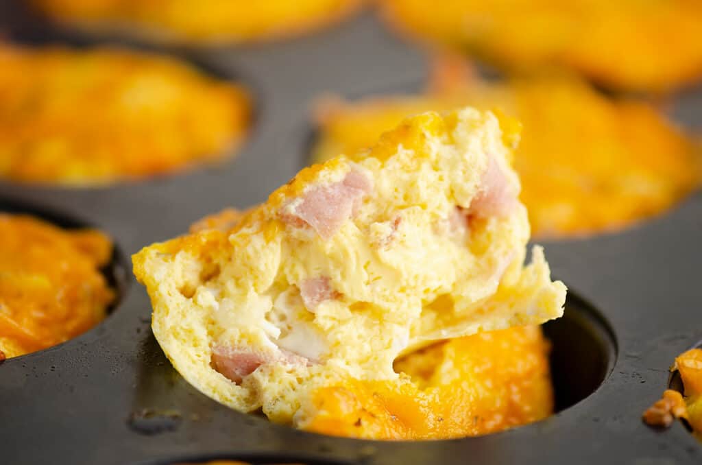 half of egg bite on muffin tin