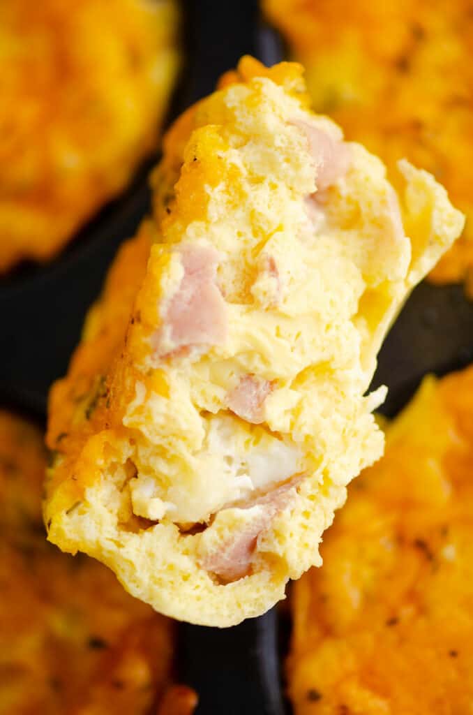 ham and cheese egg bite half on muffin tin