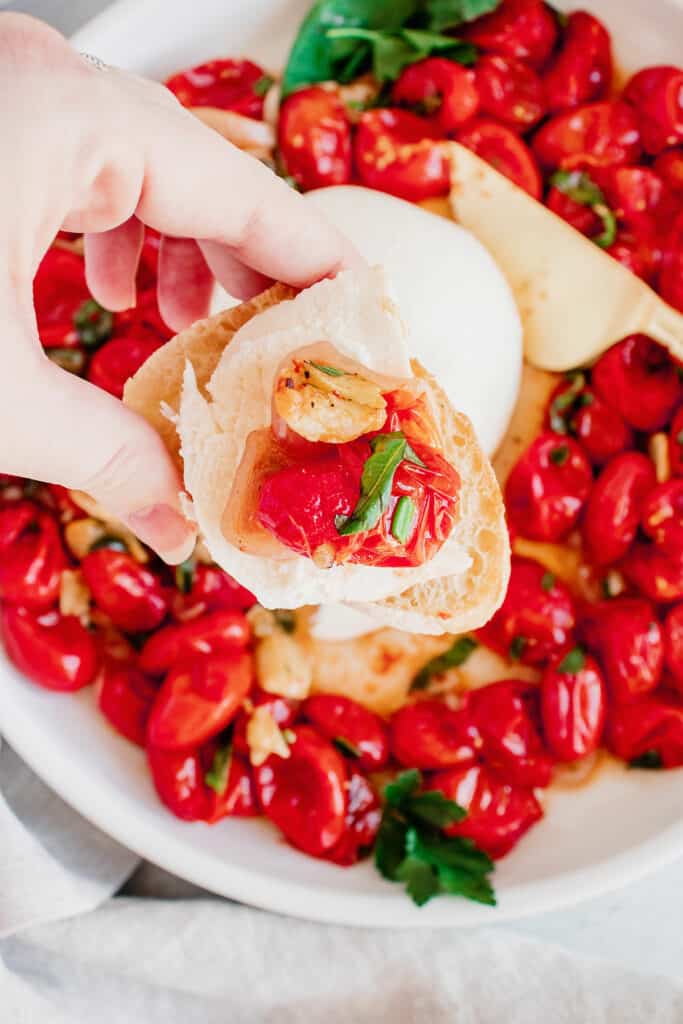 roasted tomatoes, garlic and mozzarella on crostini