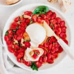 roasted tomatoes and mozzarella ball on platter with cheese knife