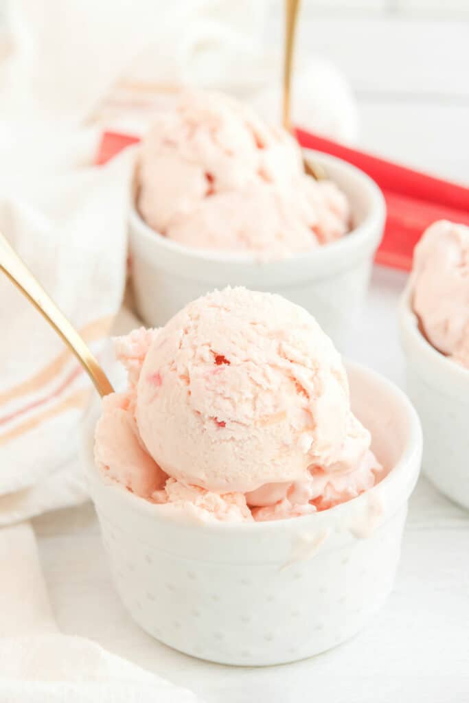 white dish with rhubarb ice cream scoop and gold spoon