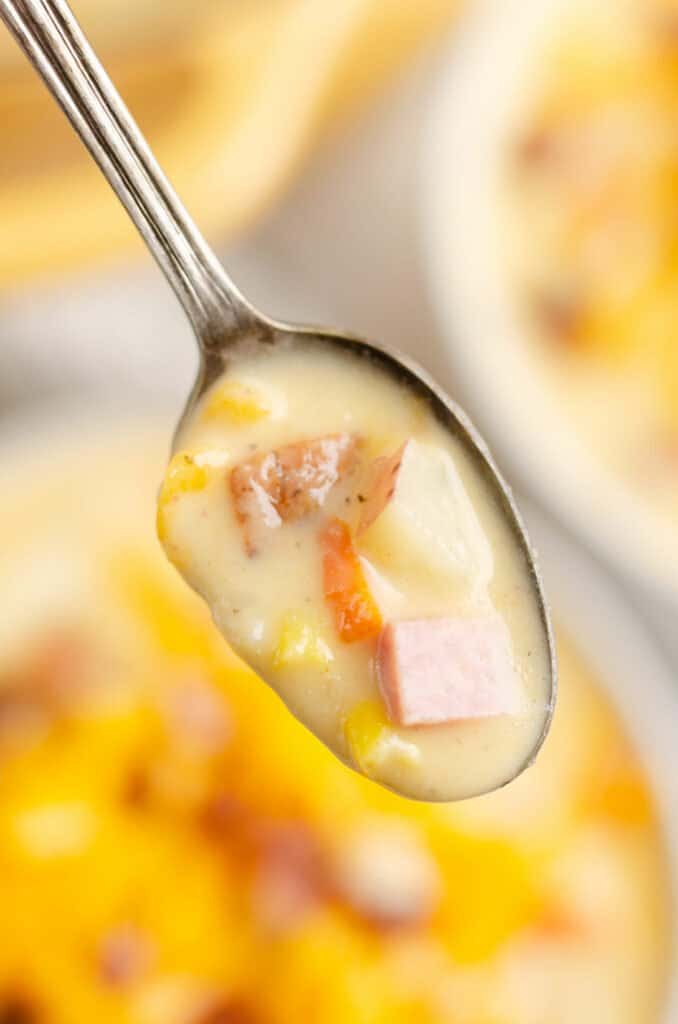 spoonful of bowl of creamy ham and potato soup