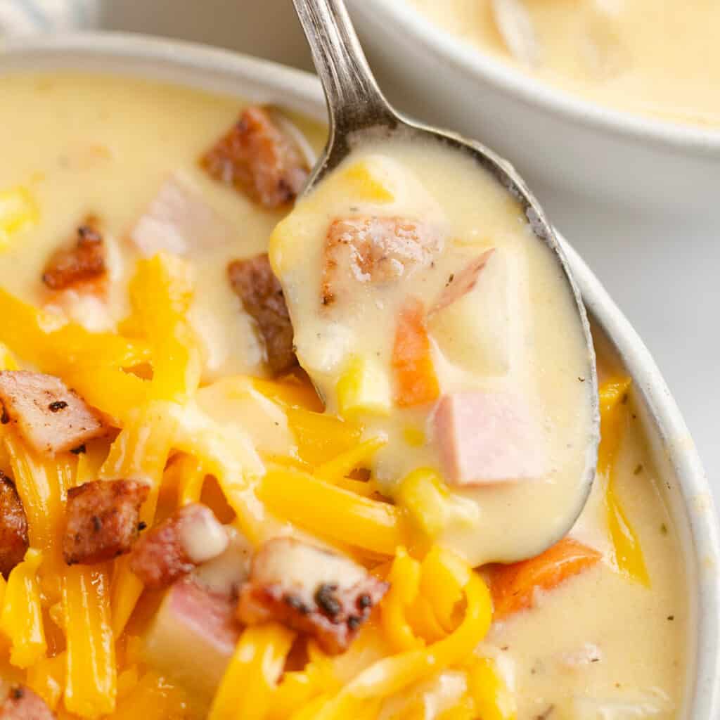 spoonful of creamy ham and potato soup resting on bowl topped with cheese