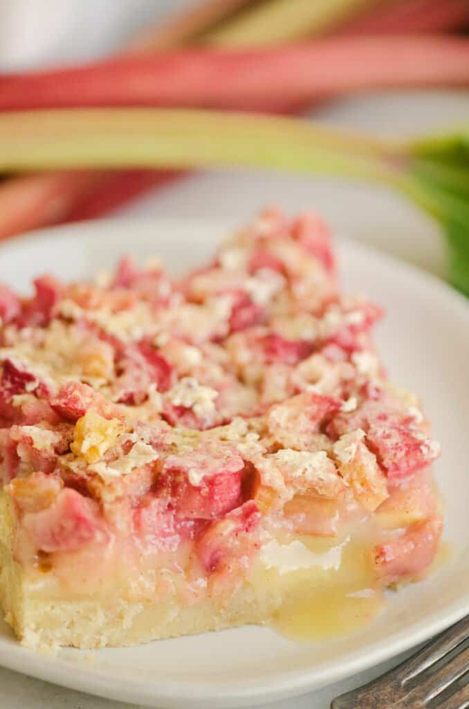 rhubarb dream bar on white plate