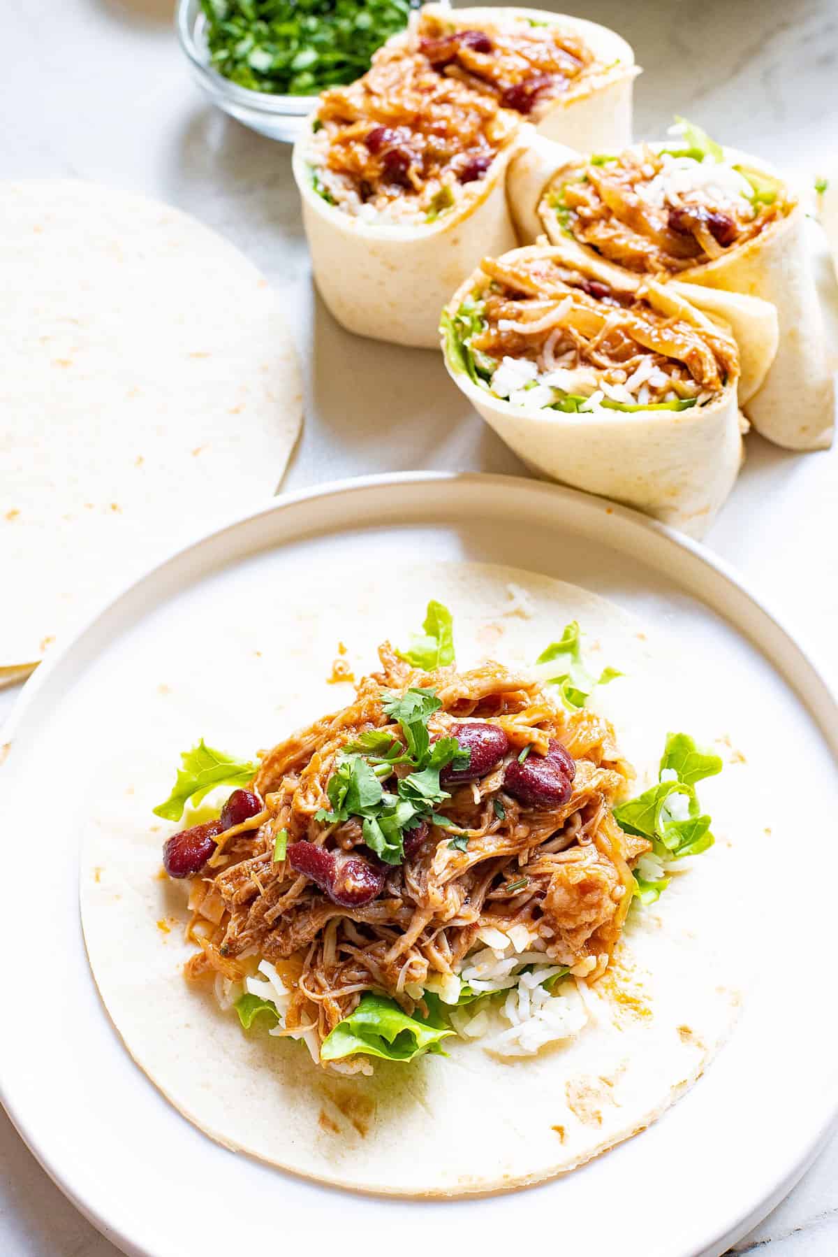 Ingredients for Pork Burrito
