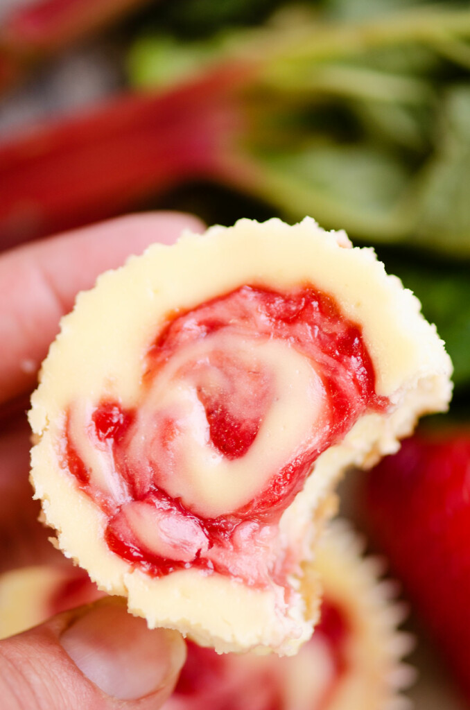 hand holding rhubarb mini cheesecake with bite out of it