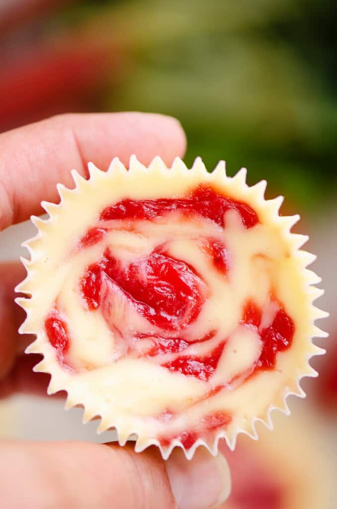 hand holding strawberry rhubarb mini cheesecake