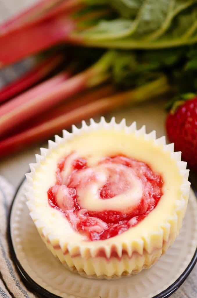 strawberry rhubarb mini cheesecake on small plate