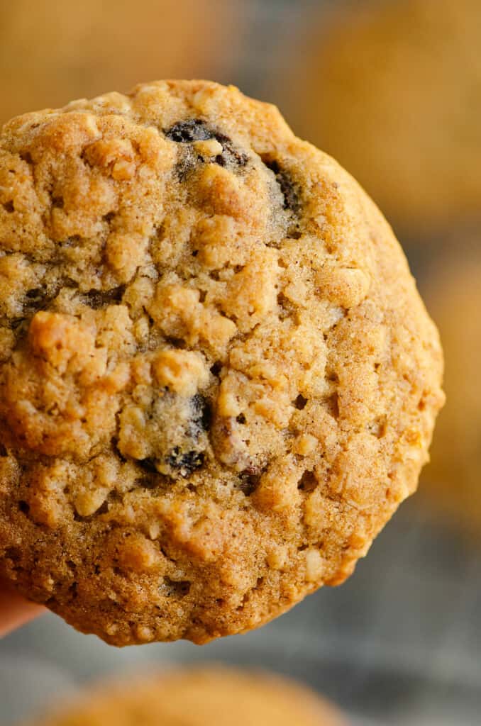 oatmeal raisin cookie in hand